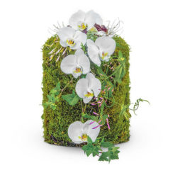 Moos-Urne Nr. 1 'Orchidee' von Blumen Weimar in Neu-Ulm