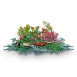 Grabgesteck 'Skimmie' von Blumen Weimar in Neu-Ulm