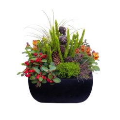 Pflanzschale 'Skyline' von Blumen Weimar in Neu-Ulm