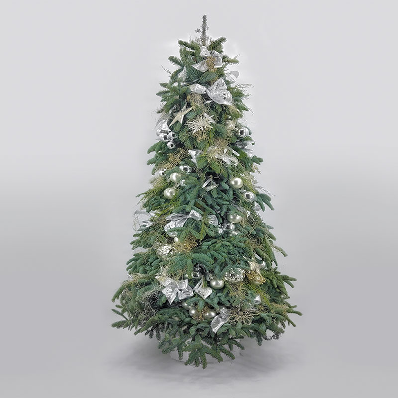 Weihnachtsbaum groß 'Silber' 150cm von Blumen Weimar in Neu-Ulm
