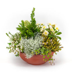 Pflanzschale 'Aichach' von Blumen Weimar in Neu-Ulm