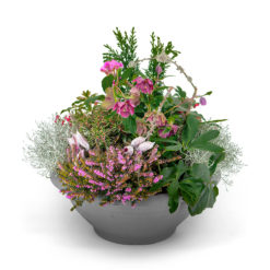 Pflanzschale 'Imhoff' von Blumen Weimar in Neu-Ulm