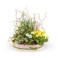 Pflanzschale Frühling Nr. 2 von Blumen Weimar in Neu-Ulm