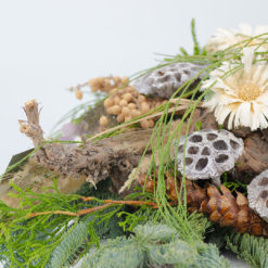 Grableger 'Mainau' von Blumen Weimar in Neu-Ulm