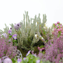 Pflanzring 'Lindau' von Blumen Weimar in Neu-Ulm