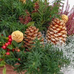 Pflanzschale "Günzburg", winterhart bepflanzt mit Heidekräutern, garniert mit Eibenzweigen und Trockenfrüchten, von der Gärtnerei Blumen Weimar in Neu-Ulm
