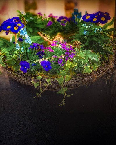 Saisonaler Grabschmuck von Blumen Weimar in Neu-Ulm